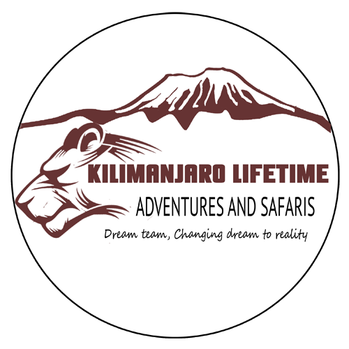 Kilimanjaro Lifetime Adventures