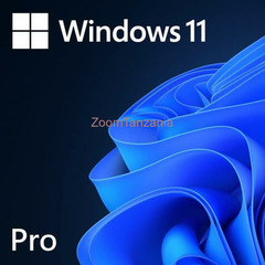 windows 11 pro - 1
