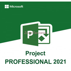 Microsoft Project pro 2021 - 1