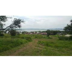 PLOT FRO SALE NYAMHONGOLO BLOCK 2 AND KISEKE BLOCK C - 3