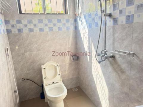 full furnished apartment to rent kiseke ppf - mwanza - 5/6