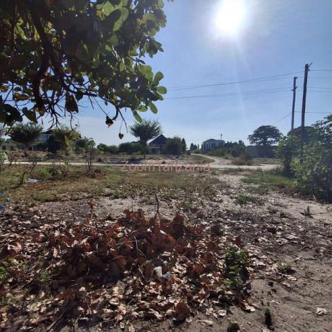 CORNER PLOT FOR SALE BUNJU BEACH MOGA - 2/6
