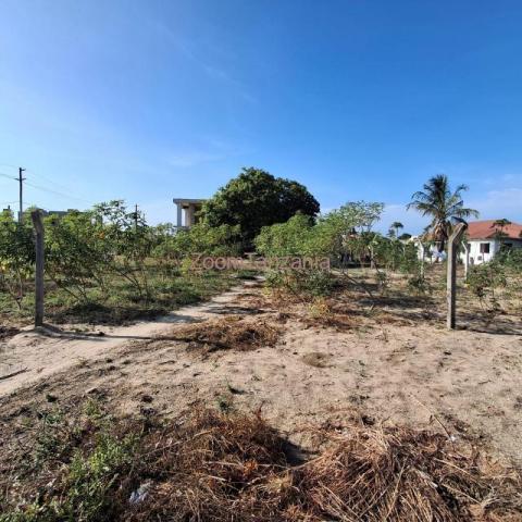 CORNER PLOT FOR SALE BUNJU BEACH MOGA - 5/6
