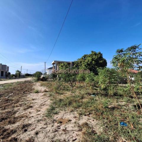 CORNER PLOT FOR SALE BUNJU BEACH MOGA - 6/6