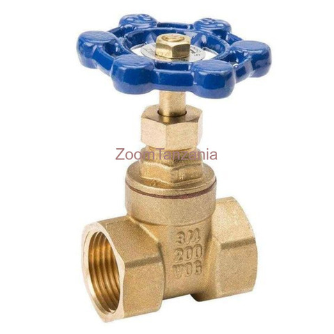 Gate Valve - 2/3