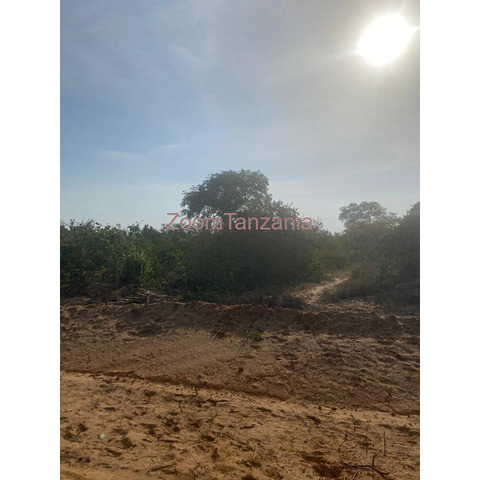 Land plots for sale! 1 Acre for Tsh 5,000,000 ! Fukayosi- Bagamoyo