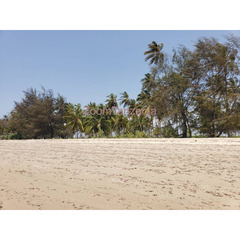 Beach plot available for sale at Tanga - 2