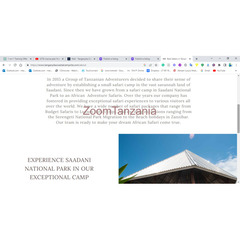 Web Content Creator in Tanzania - 1