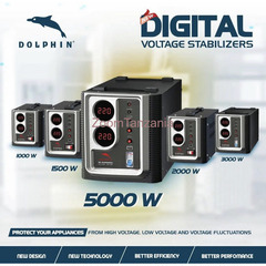 Digital Dolphin Stabilizer