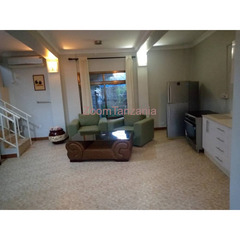 1bdrm Apartment for rent  oyster bay - 3