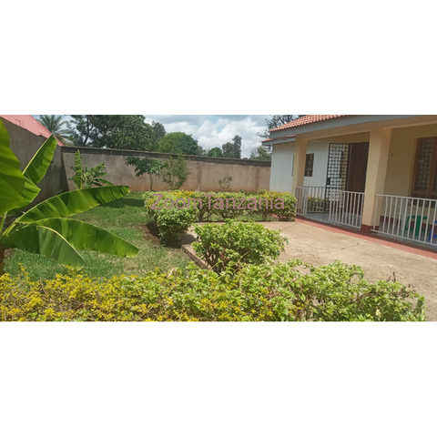 3BEDROOM HOUSE WITH STAFF HOUSE FOR SALE IN NJIRO, ARUSHA,TANZANIA - 2/4