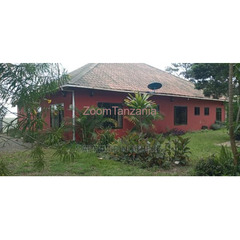 3BEDROOM FULLY FURNISHED FOR RENT IN USA RIVER-ARUSHA-TANZANIA