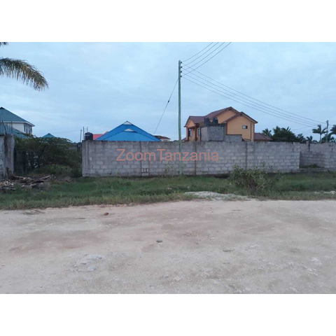 Cheap Land For Sale At Kigamboni Dar Es Salaam - 3/3