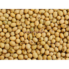 Soya beans