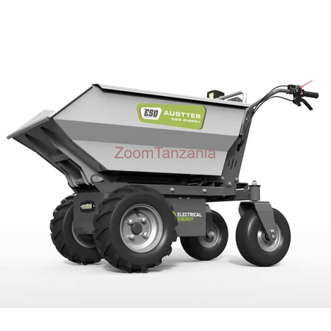 Rheinland Electric power mini Truck Dumper 500Kg Approved