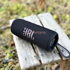 JBL Flip 6 Portable Bluetooth Speaker - 1