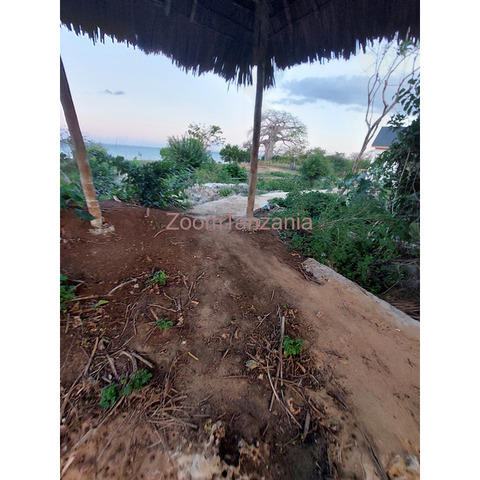 9,800 SQM beach plot with clean title - 2/4