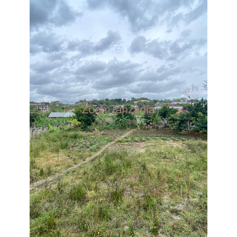 PLOT FOR SALE MBWENI MPIJI - 3/4