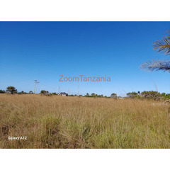 1500 Sqm. GOVERNMENT SURVEYED PLOT WITH TITLE DEED ON SALE IN KIGAMBONI. PRICE 20,000,000.00