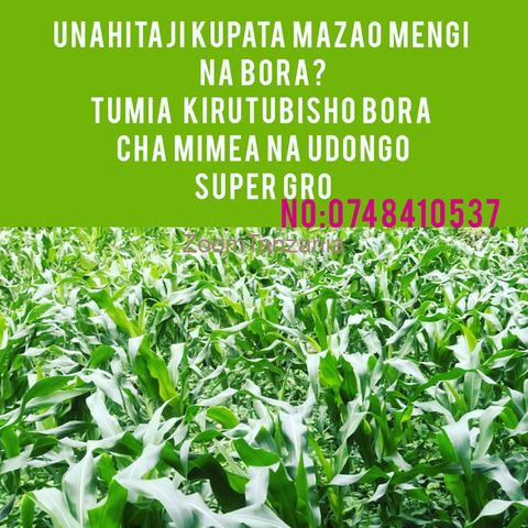 SUPER GRO KIRUTUBISHO CHA MIMEA - 1/4