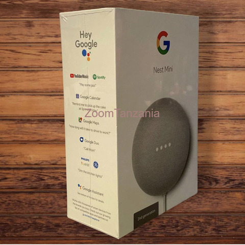 Google Nest Mini