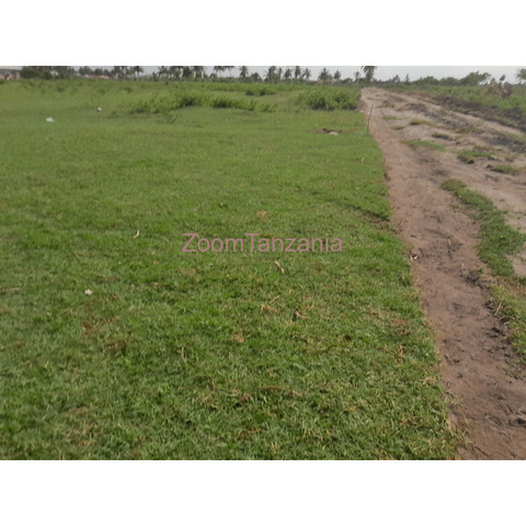 KIGAMBONI BEACH PLOT FOR SALE - 2/3