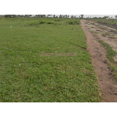 KIGAMBONI BEACH PLOT FOR SALE - 2