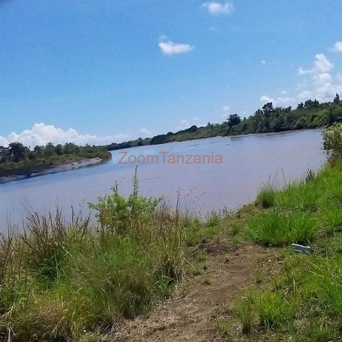 Shamba linauzwa Kiwangwa Bagamoyo - 2/2