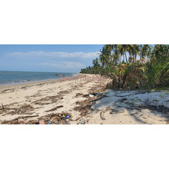 Beach Plort For Sale Tanga Pangani Mikocheni