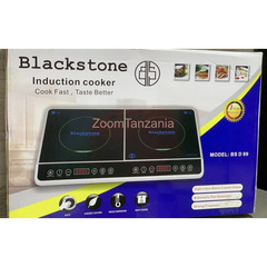 Blackstone Induction cooker - 1