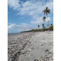 Beach property for sale Sange pangani tanga region.