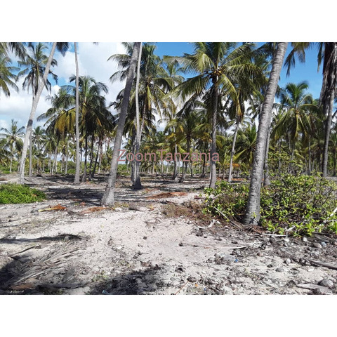 Beach property for sale Sange pangani tanga region. - 2/4