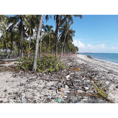 Beach property for sale Sange pangani tanga region. - 3/4