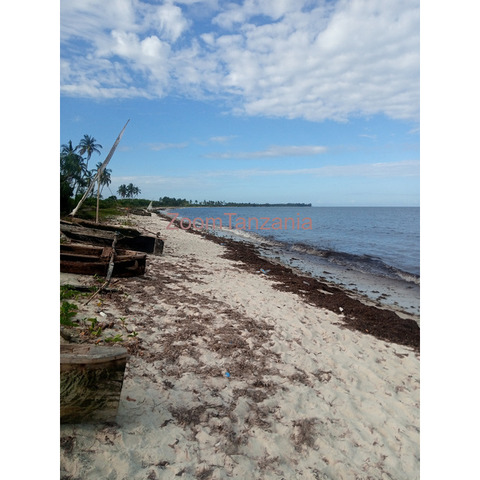 Beach property for sale stahabu pwani pangani tanga. - 1/4