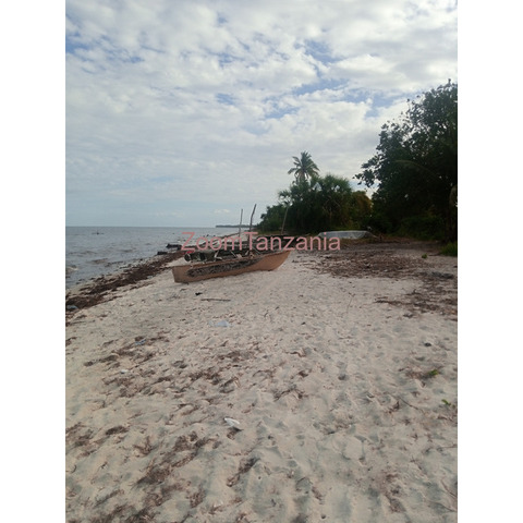 Beach property for sale stahabu pwani pangani tanga. - 2/4