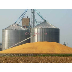 Business partner wanted, 25 million $ project, Sector: Industrial Agriculture - 3