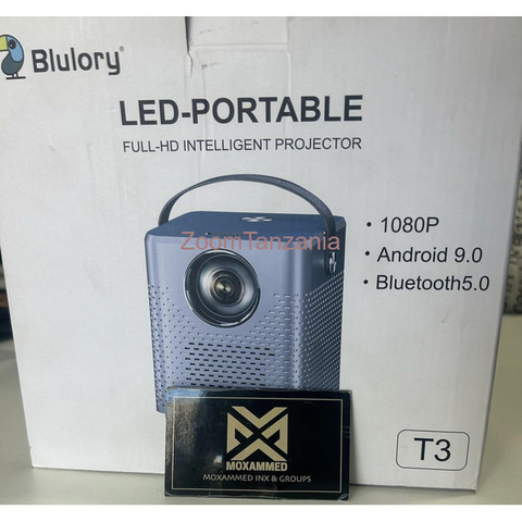 Blulory Projector LED