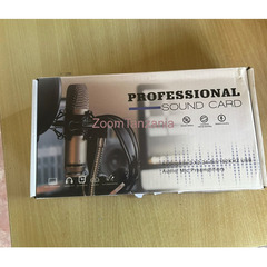Professional Sound Card - 1