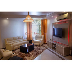 2bdrm Apartment for rent upanga - 3