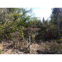 Land for Sale in Bagamoyo