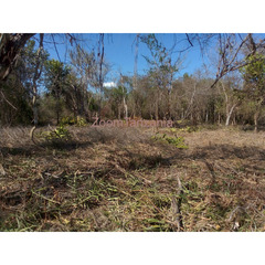 Land for Sale in Bagamoyo - 2