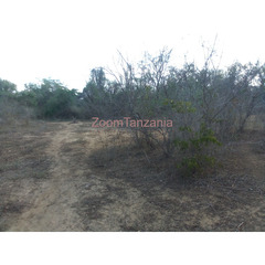 Land for Sale in Bagamoyo - 3