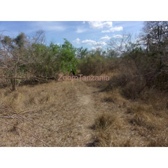 Land for Sale in Bagamoyo - 4