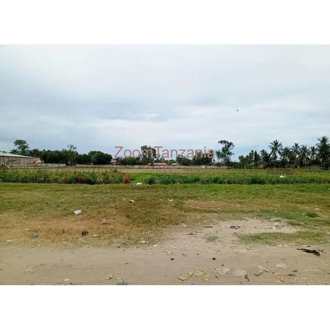 LAND 2.5 ACRES FOR SALE - 4/4