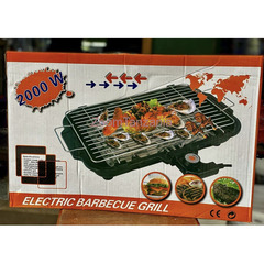 Electric Barbecue Grill - 1