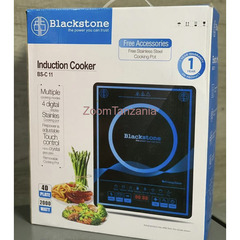 Blackstone Induction Cooker with Stainless Steel Cooking Pot - 1
