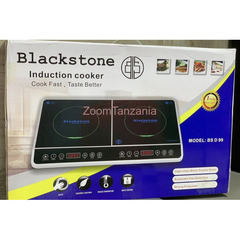 Blackstone Induction cooker 2 plates