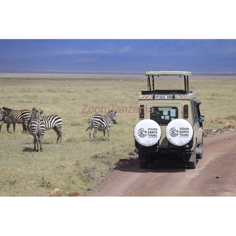 Tanzania Safaris