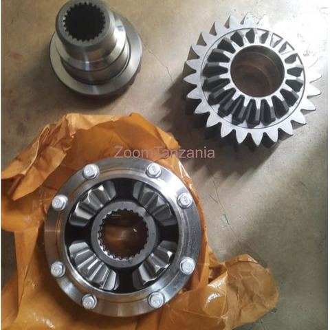 Papatol, Gear with Bush, pinion gear