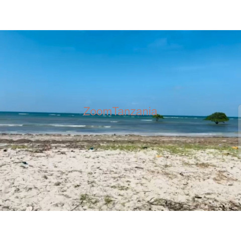 Kigamboni: Ocean Front Beach Plots For Sale - Dar - 1/4